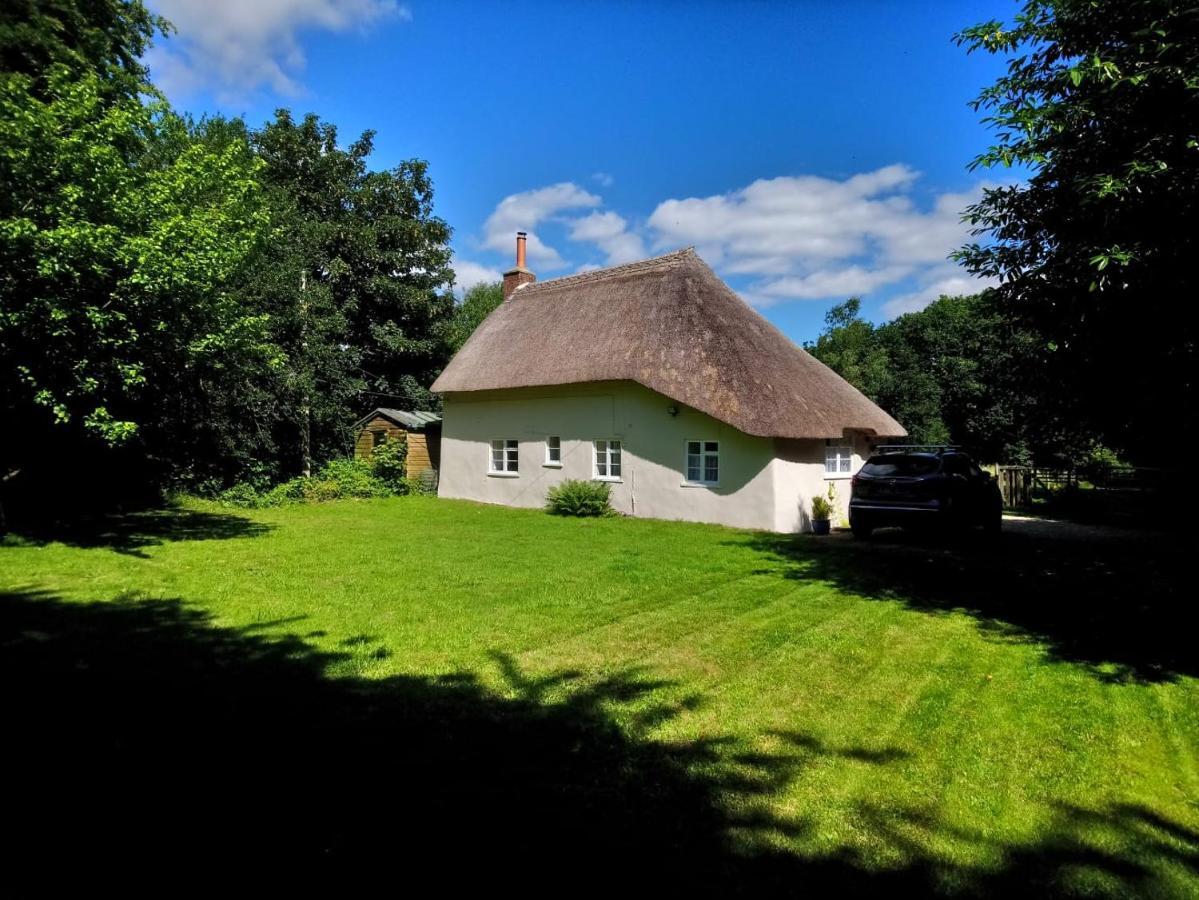 Honeysuckle Cottage Dorchester Extérieur photo